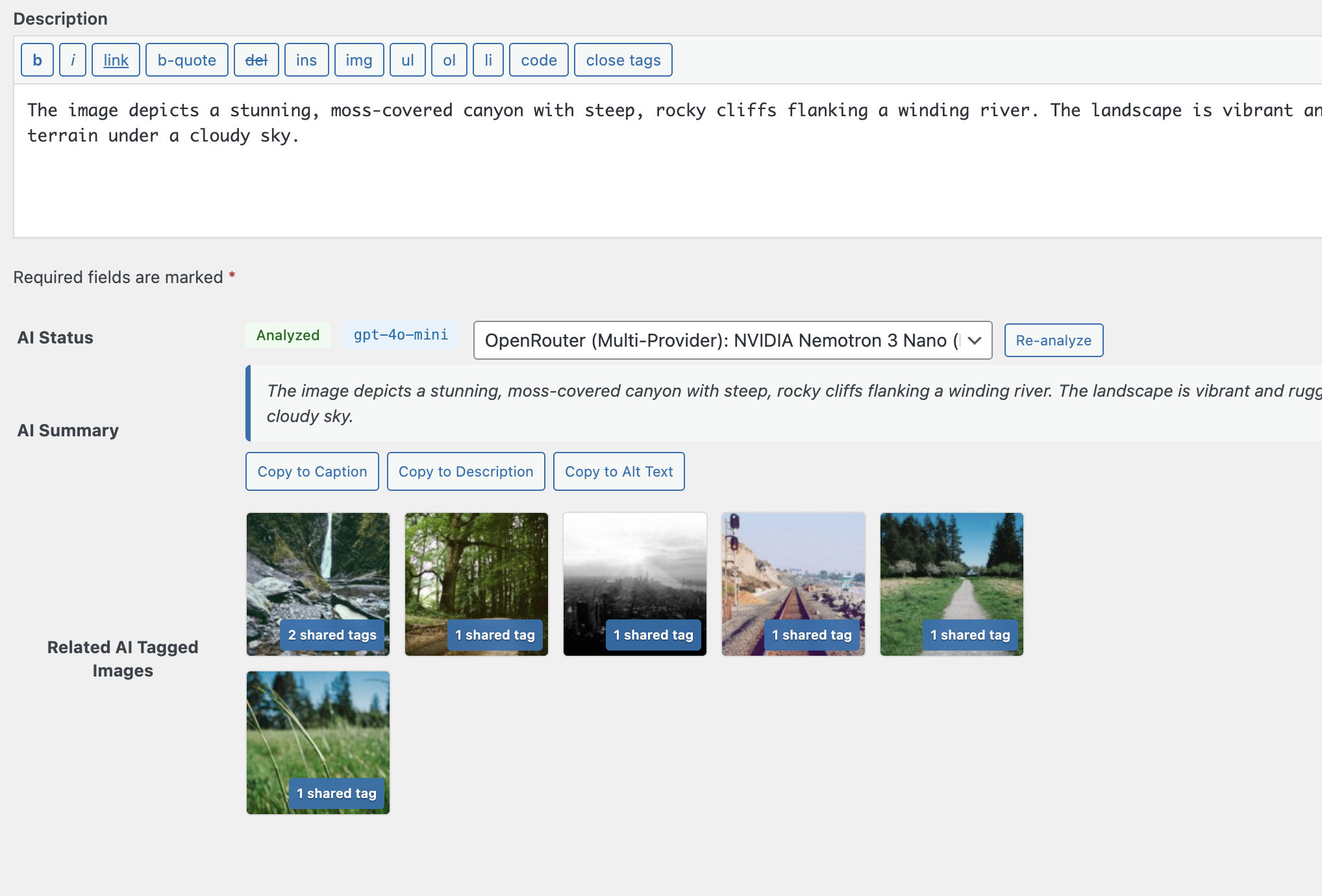 WP-Image related AI tagged images feature